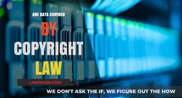 Is Data Protected by Copyright Law? Key Legal Insights