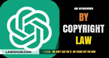 Are Datasets Protected by Copyright Law? Understanding Legal Boundaries