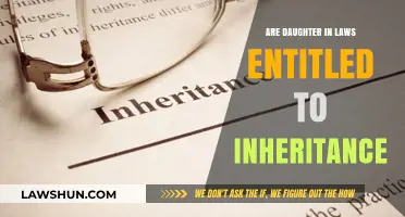 Daughter-in-Law Inheritance Rights: Legal Entitlements and Family Dynamics Explored