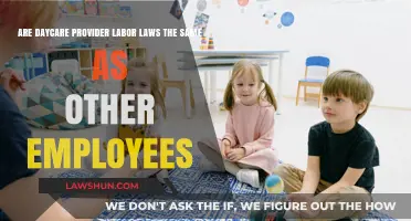 Do Daycare Providers Have the Same Labor Laws as Other Employees?