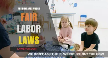 Are Daycares Exempt from Fair Labor Standards? A Legal Overview