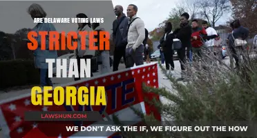 Delaware vs. Georgia: Comparing the Stricter Voting Laws in Both States