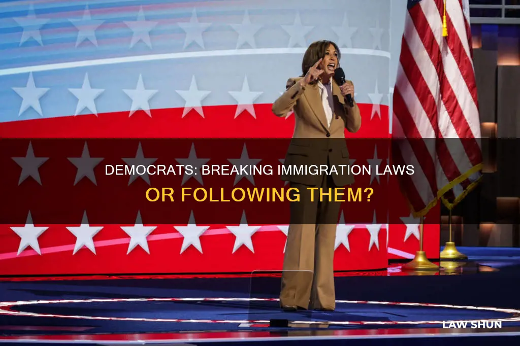 are democrats breaking immigration laws