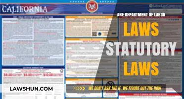 Are Department of Labor Laws Statutory? Understanding Legal Frameworks