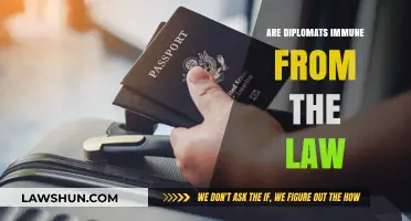 Diplomatic Immunity: Legal Shield or Loophole for Diplomats?