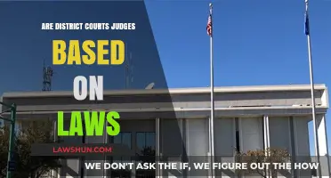 Do District Court Judges Base Their Decisions on Laws?