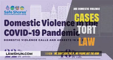 Domestic Violence: Tort Law and Personal Injury