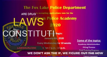 Drug Laws: Constitutional or Unjust?