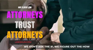 Elder Law Attorneys: Their Role in Trust Planning and Management