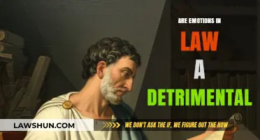 Emotions in Law: Detrimental Influence or Essential Human Element?