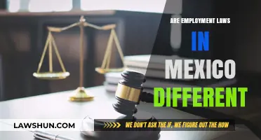 Employment Laws: Mexico's Unique Rules and Regulations