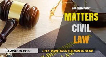 Employment Matters: Understanding Their Place in Civil Law Frameworks