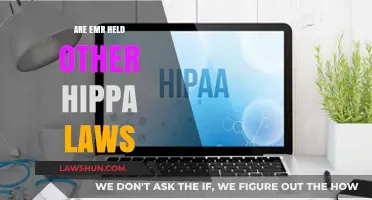 Are EMRs Held to HIPAA Standards? Understanding Compliance Requirements
