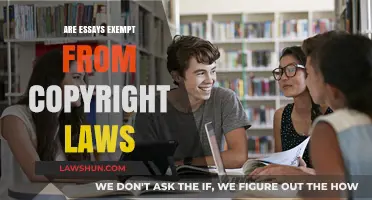 Are Essays Exempt from Copyright Laws? Exploring Legal Protections