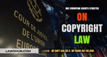 European Courts vs. Copyright Law: Stricter Enforcement or Balanced Approach?