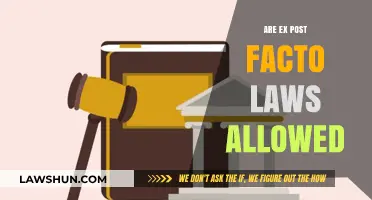 Are Ex Post Facto Laws Constitutional? Exploring Legal Boundaries and Implications