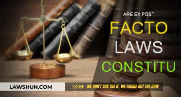 Ex Post Facto Laws: Unconstitutional or Necessary?