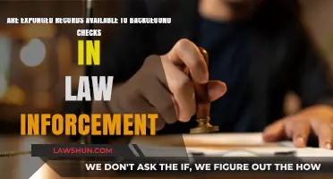 Expunged Records: Are They Visible in Law Enforcement Background Checks?