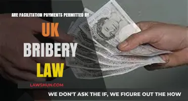 Facilitation Payments: UK Bribery Law Compliance