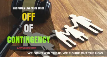 Contingency Fees in Family Law Cases: What You Need to Know