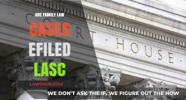 E-Filing Family Law Cases: LASC's New Normal