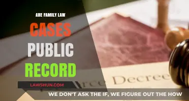 Family Law: Public Record or Private Matter?