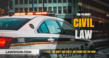 Are Felonies Civil Law? Understanding the Legal Distinction