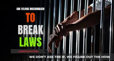 Felons and the Law: Breaking Free or Breaking Laws?