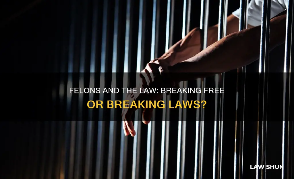 are felons discouraged to break laws