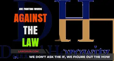 Are Fighting Words Illegal? Understanding Free Speech Limits and Legal Boundaries