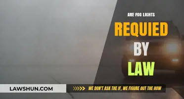 Are Fog Lights Legally Required? Understanding Vehicle Lighting Laws