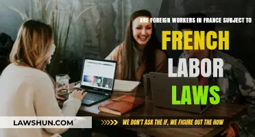 Foreign Workers in France: Rights and Protections Under French Labor Laws