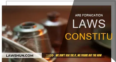 Fornication Laws: Unconstitutional Invasion of Privacy?
