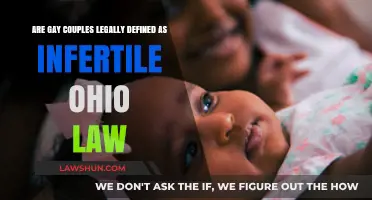 Ohio Law and Gay Couples: Are They Legally Infertile?
