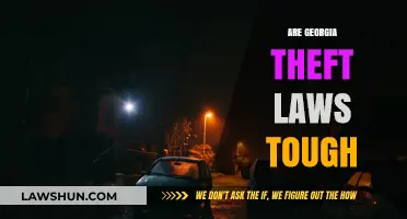 Are Georgia's Theft Laws Tough Enough? A Comprehensive Analysis