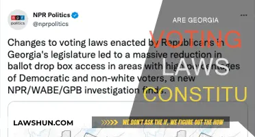 Georgia Voting Laws: Constitutional or Not?