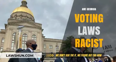 Are Georgia's Voting Laws Racially Discriminatory? A Critical Analysis