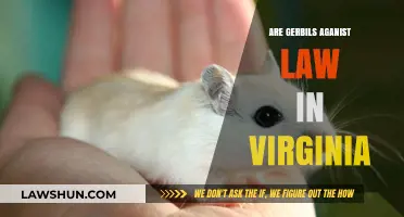 Are Gerbils Legal in Virginia? Understanding Pet Ownership Laws