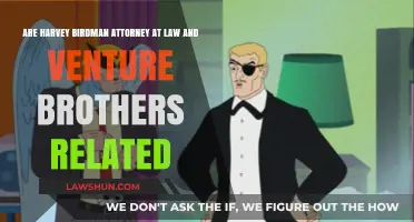 Harvey Birdman and Venture Brothers: Connected Universes or Coincidence?