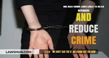 Do Hate-Crime Laws Deter Offenders and Reduce Criminal Acts?