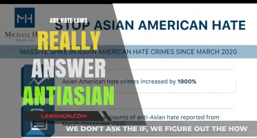 Are Hate Laws Enough to Combat Anti-Asian Violence?