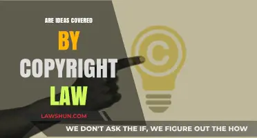 Are Ideas Protected? Understanding Copyright Law's Scope and Limitations