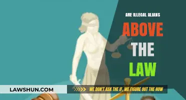 Are Illegal Aliens Above the Law? Examining Legal Realities and Myths