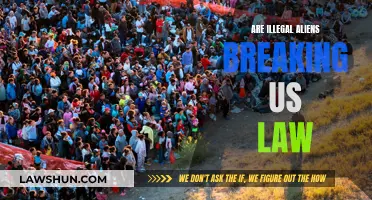 Alien Immigration: Breaking US Laws?