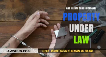 Illegal Drugs as Personal Property: Legal Perspectives and Implications