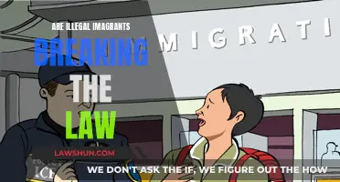 Immigration Laws: Who is Breaking the Rules?