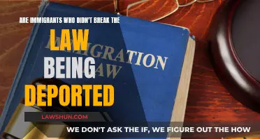 Unlawful Deportation: Immigrants' Plight and Legal Conundrum