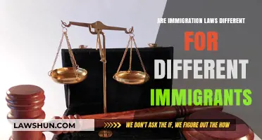 Immigration Laws: A Fair and Equal Playing Field?