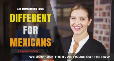 Immigration Laws: Unfair to Mexicans?