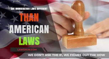 Immigration Laws: Distinct from American Laws?